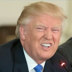 Trump Talk - 2017-07-28