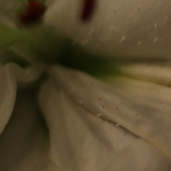 LUNALIA 24.06.17 - Jurica Jelić - Maja Jantar