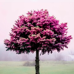 With Colors