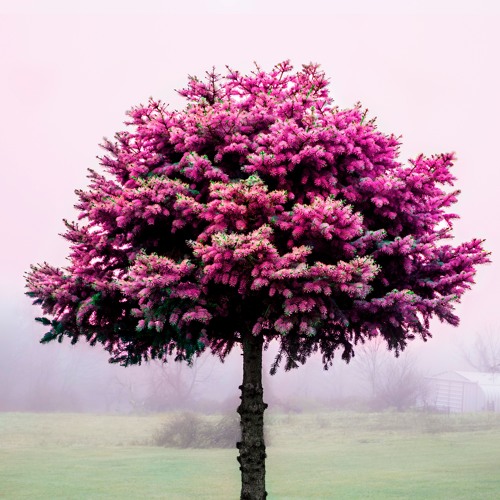 With Colors