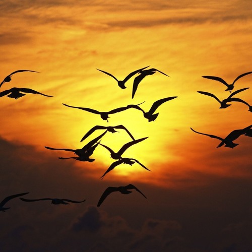 Stream poema Ascensión (Alfredo Espino) by Cultura El Salvador Listen online for free on