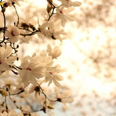 Hope And Emotion