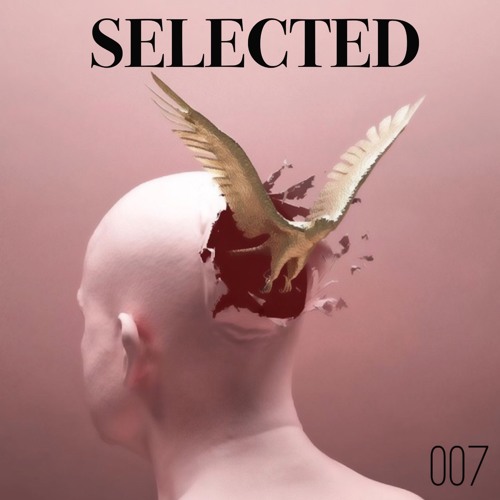 Selected 007: Ricky Krstic