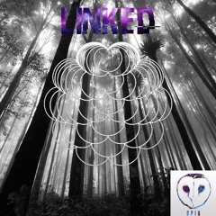 LINKED (Original Mix)