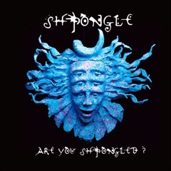 Shpongle - Divine Moments Of Truth(DMT) (Astrix, LOUD & LSD Remix)FULL