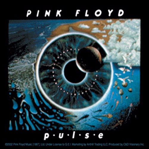 Pink Floyd - Pulse -  Music