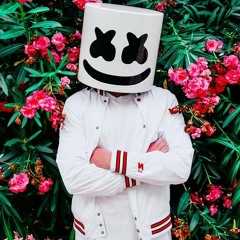 Marshmello - LoVe U  (Original mix)