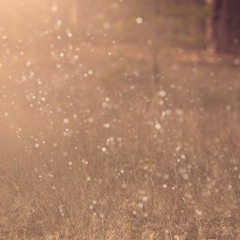 In the End (Original Mix)