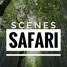 Scenes - Safari