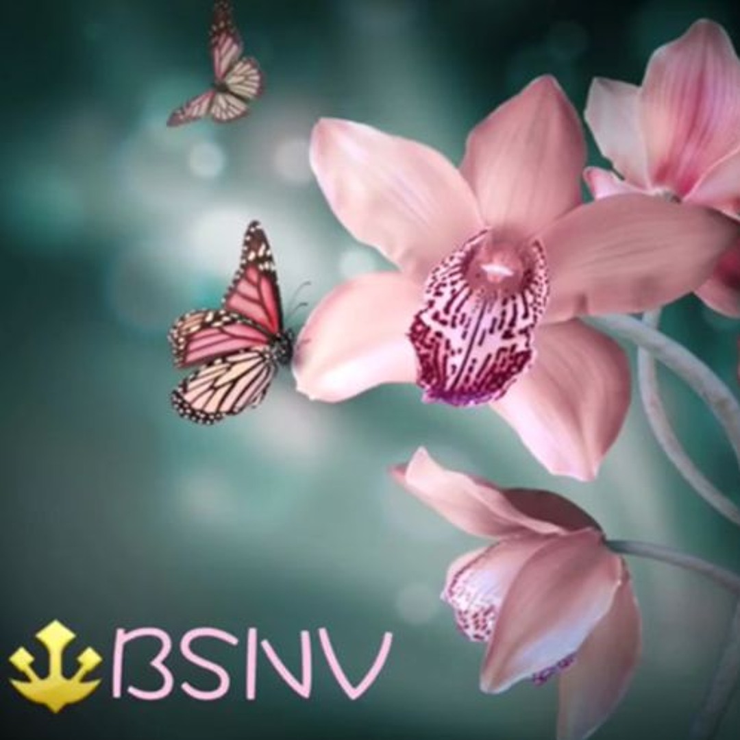 Stream Pink and Weiss by BSNV | Listen online for free on SoundCloud