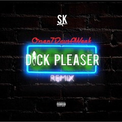 Dick Pleaser Remix