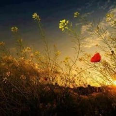 تلاوة من سورة الزمر♥ القارئ ابراهيم الحق♥