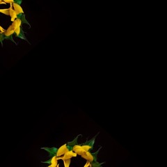 #aMASSProduction 001 - late nite (friday) [Mix by Zen Raynor]