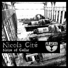 Noise of Cellar [Flipside Recordings]