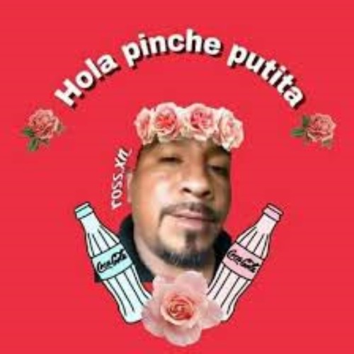 Stream Hola Pinche Putita (Banda Remix) by Alianza De Sangre | Listen  online for free on SoundCloud