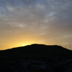 Retro Resonance - Future Pick