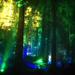 ladybeats disco forest #2