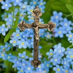 Forget me