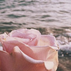 sea foam [x flavors]