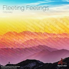 Fleeting Feelings