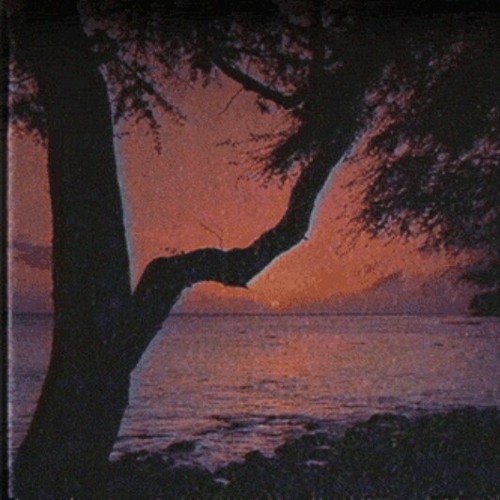 "Low End Theory" [prod.by DEAD HIPPIE]