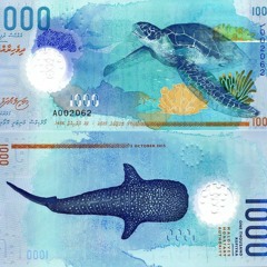 Faisaa Faisaa Faisaa - Inthi