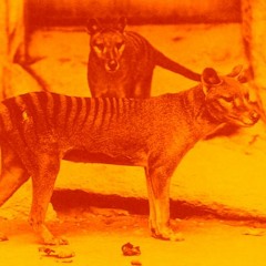 Speakerdust Live at Quenchers - 8-31-12