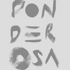 FG Meets MI.RO @ Ponderosa Beach July 2017