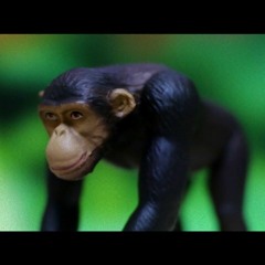 暖かい生き物_Warm creature_offvocal Mastering