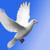Artwork for My little sister sings Marie Myriam - L'Oiseau et L'Enfant (French)