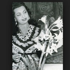 ضي القمر - شهرزاد || حفلة