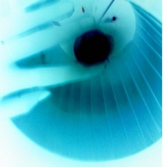 tudo se explica+nada faz sentido