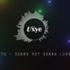 Demi Lovato Sorry Not Sorry Uxye Remix Mp3