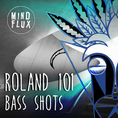 Roland 101 Bass Shots Preview