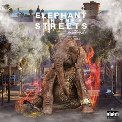 CALIFORNIA WILDFIREs