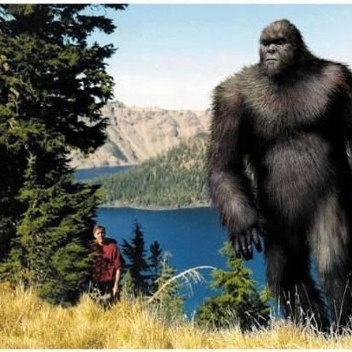 Bigfoot No Mori
