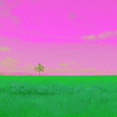S h a d e s O f B l a c k (Album Available Now)