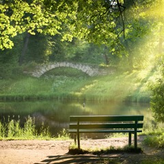 Pequeño Silenciamiento