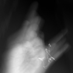 PITTED IN THE SAUCE - BOY FROM SOLITARY