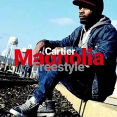 Magnolia (freestyle)
