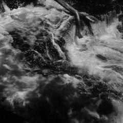 In the Field 7/29/17