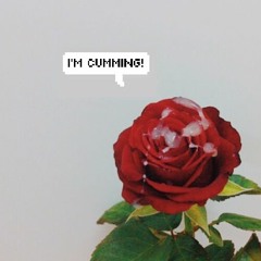 YOU A BITCH Ft. CHRIS MARE DACHI (PROD. SYBYR)