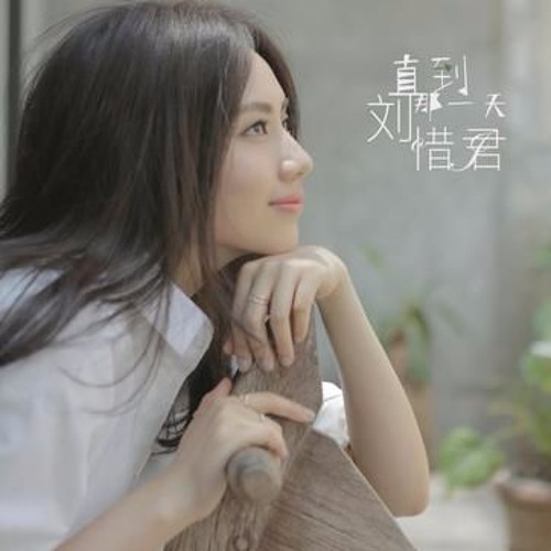 Wo Zhi Zai Hu Ni 我只在乎你 I Only Care About You  刘惜君 Liú Xī Jūn