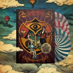 Lost Frequencies - Live @ Tomorrowland 29.07.2017 (Lost frequencies and friends Stage) Belgium