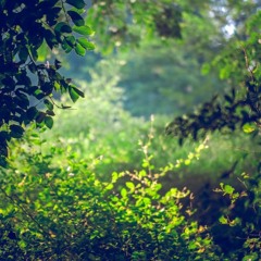 Humility - Vishnujana Swami