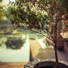 Krishna's sweetness - Dina Bhandu Das