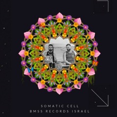 Somatic Cell Live @ SUN Festival 2017