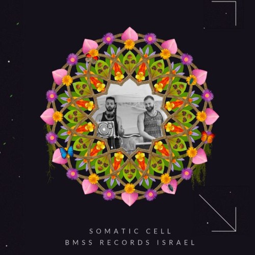 Somatic Cell Live @ SUN Festival 2017