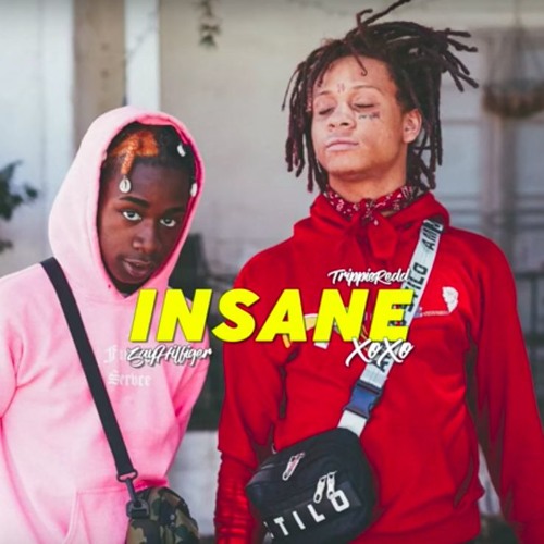 TrippieRedd x ZayHilfigerrr - Insane XoXo