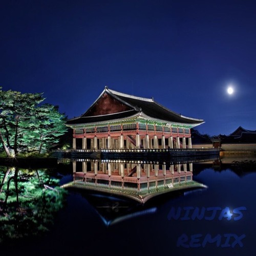 Ninjas Remix (feat. VINXEN)